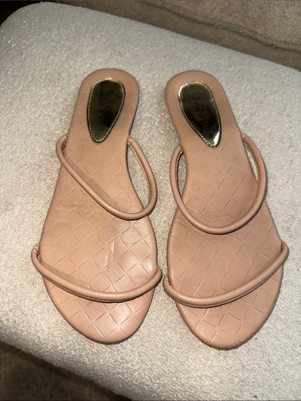 Anna Blush Tan Double-Strap Slide Sandals